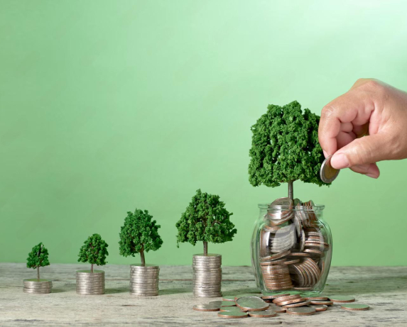Portfolio Image